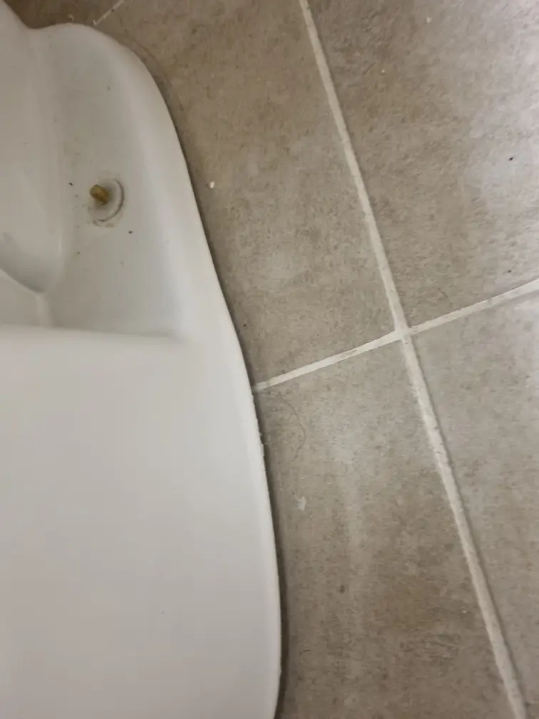 ?? ????
